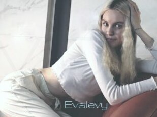 Evalevy