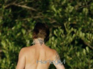 HarleyM