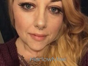 Harlow_Mae