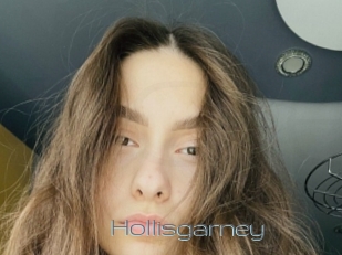 Hollisgarney
