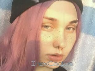InexCactus