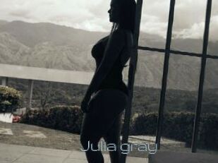 Julia_gray