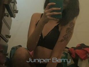 Juniper_Berry