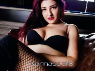 Karinasodi18