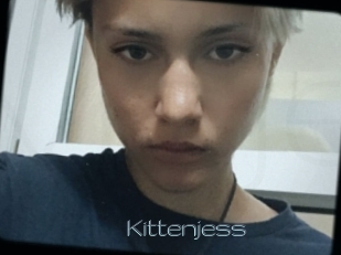 Kittenjess