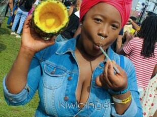 Kiwiginger