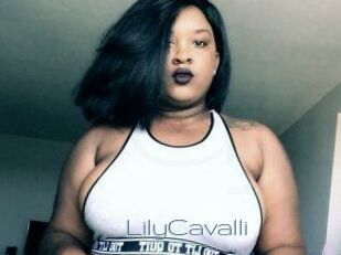 Lily_Cavalli