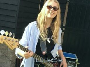 LittleSis