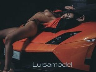 Luisamodel