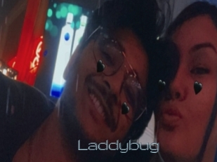 Laddybug