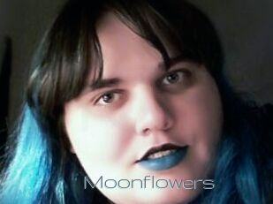 Moonflowers