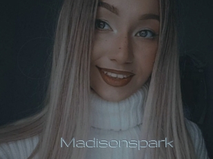 Madisonspark