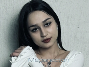 Meganecton