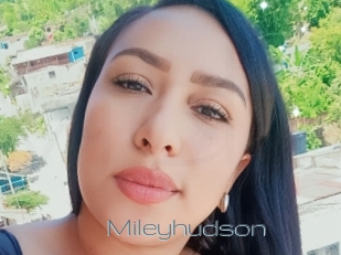 Mileyhudson