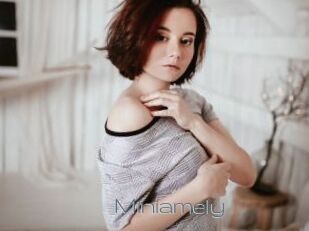 Miniamely