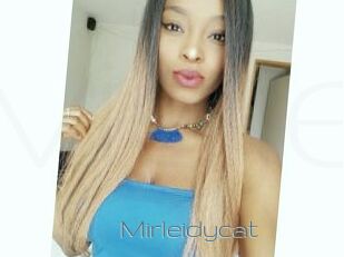 Mirleidycat