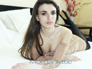 Morgankittie