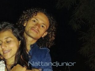 Nattandjunior