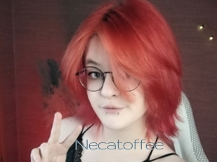 necatoffee Vidéos de Jeunes