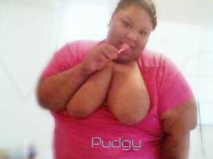 Pudgy