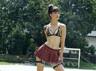Pamelalaatinhot