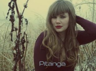 Pitanga