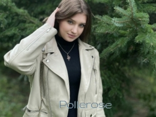 Pollerose