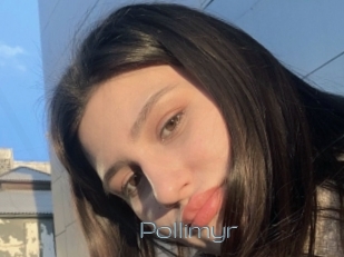 Pollimyr