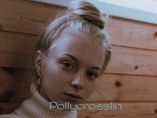 Pollycrosslin