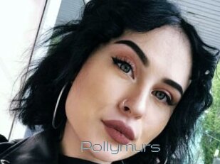 Pollymurs
