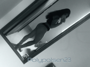 Polypolsen23