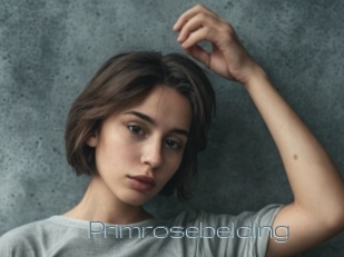 primrosebelding Vidéos de Jeunes