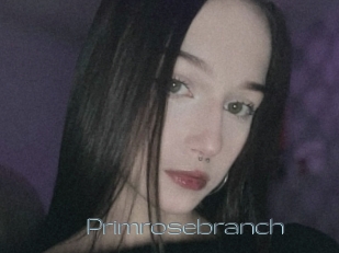 Primrosebranch