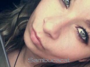 Sambucacat