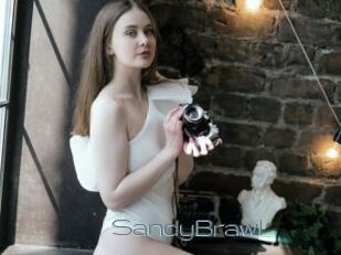 SandyBrawl