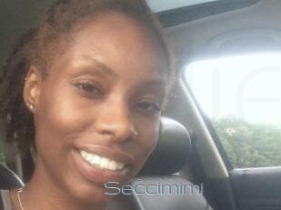 Seccimimi