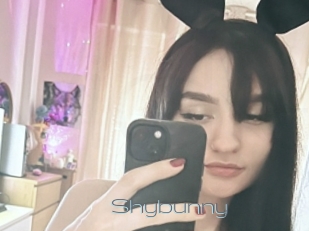 Shybunny