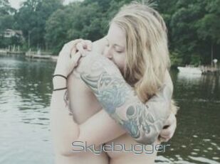 Skyebugger