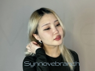 Synnovebranch