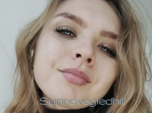 Synnovegledhill