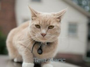 TestAlaric