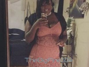 TheBigFine304
