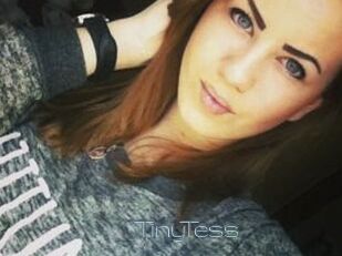 TinyTess