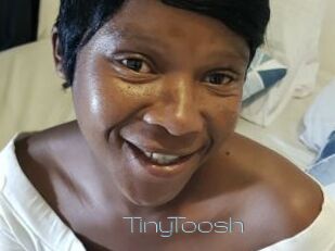 TinyToosh