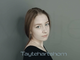 Taytehartshorn