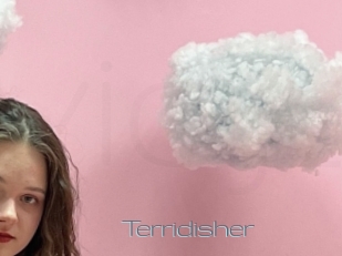 Terridisher