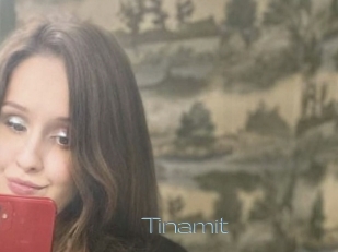 Tinamit