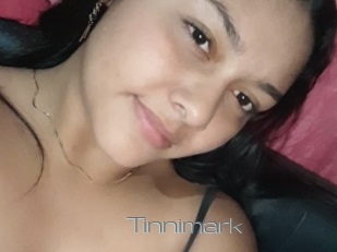 Tinnimark