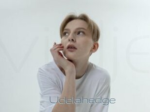 Udelahedge