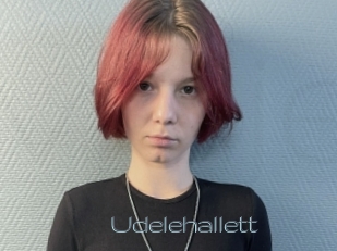 Udelehallett